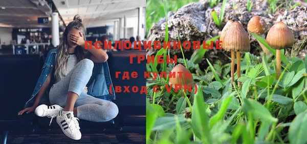 соль ск Алексеевка