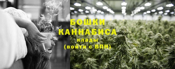 стафф Протвино